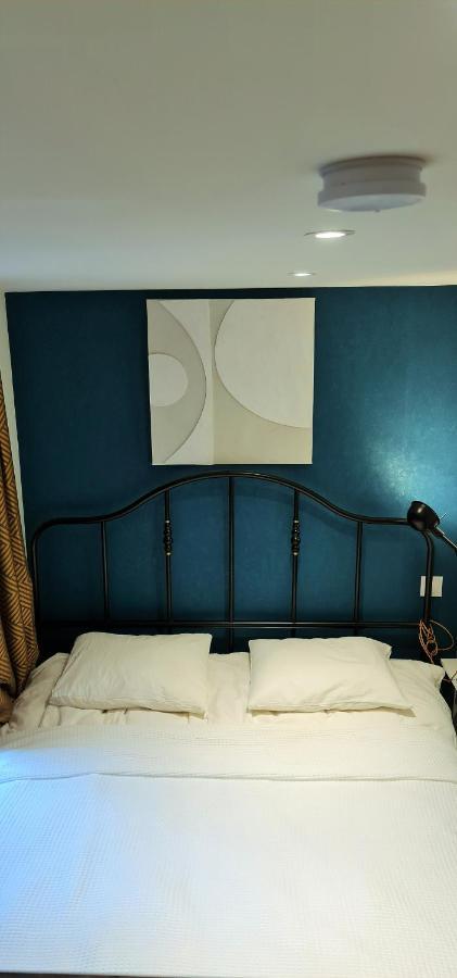 Le Colonial - Au Coeur De Strasbourg - 4 Couchages Daire Dış mekan fotoğraf
