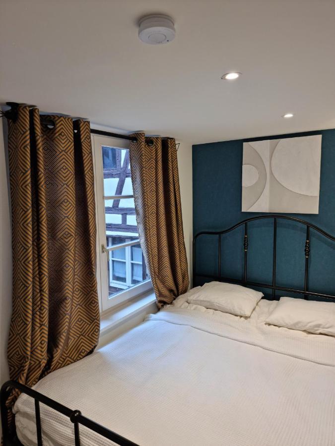 Le Colonial - Au Coeur De Strasbourg - 4 Couchages Daire Dış mekan fotoğraf